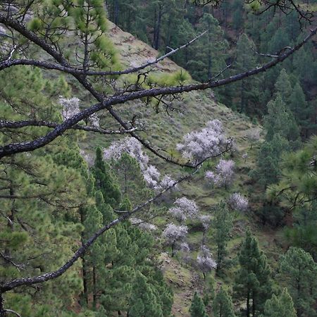 Casa Rural El Riachuelo Garafía Zewnętrze zdjęcie